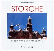St�rche Leben auf der Kathedrale