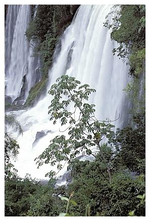 ../Images/gp-iguazu03.jpg