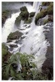 Thumbs/tn_gp-iguazu05.jpg