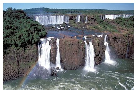 ../Images/iguaforest11.jpg